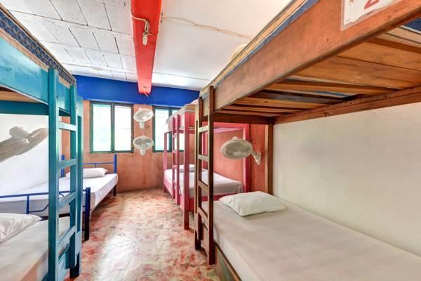 Hostel Playa 普拉亚卡门 客房 照片